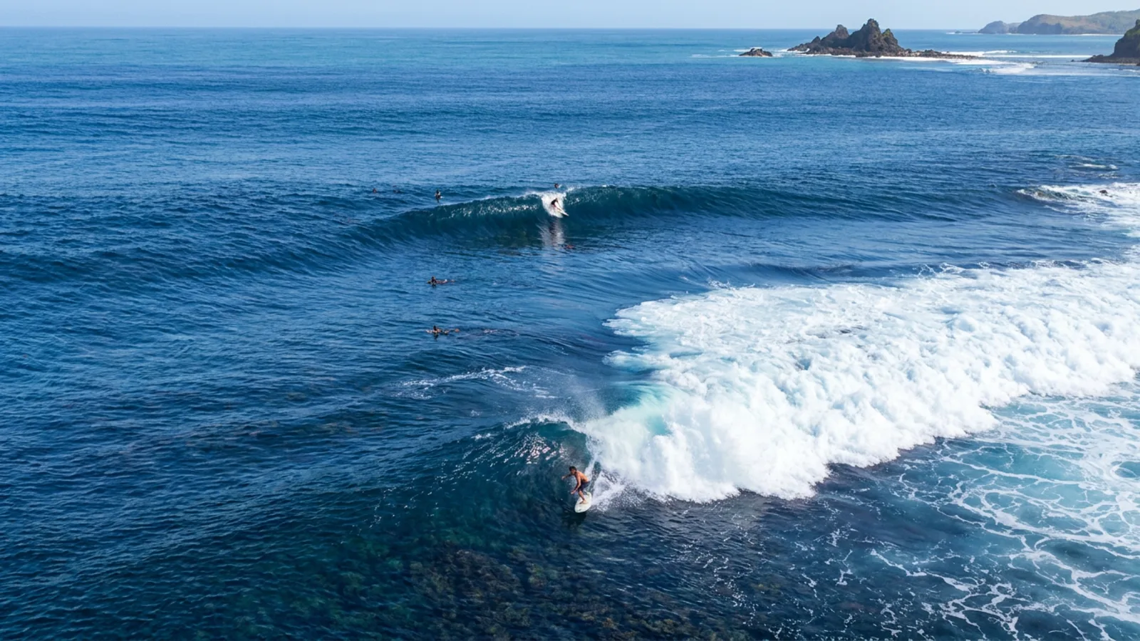 Pumping Cobra Reef